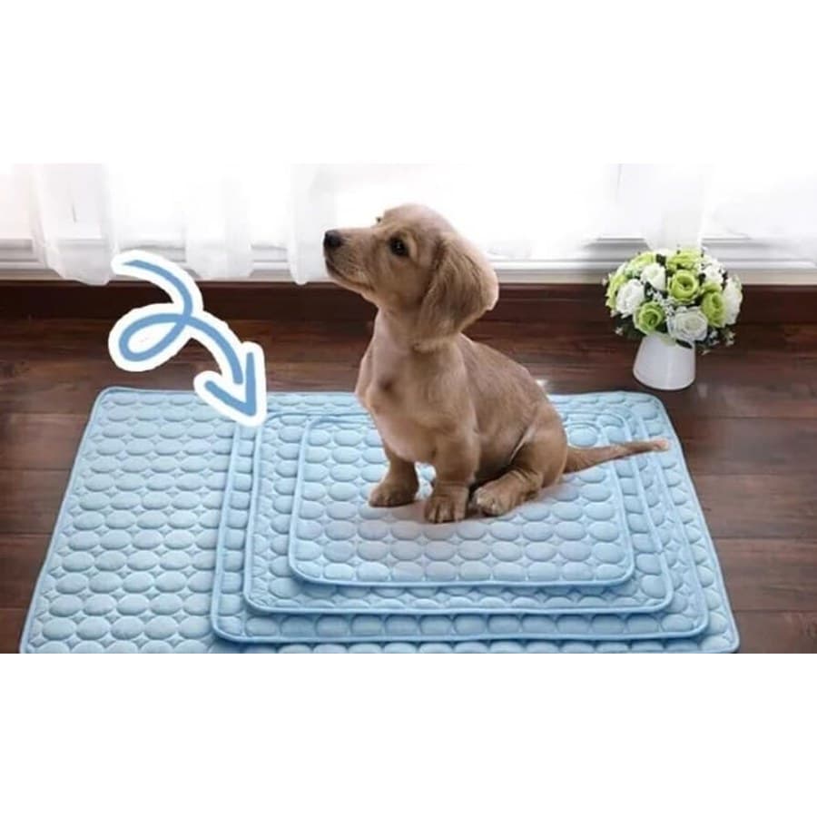 Puppy sitting on the cooling mat at home